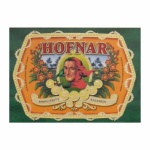 Hofnar