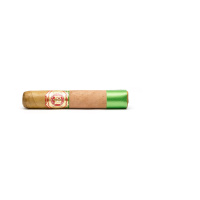 Arturo Fuente Chateau Chateau Fuente (Robusto)