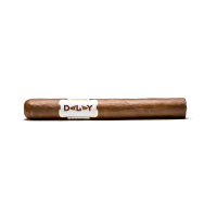 Dalay Nicaragua Toro