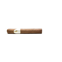 Davidoff Winston Churchill Petit Corona