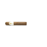 Davidoff Winston Churchill Petit Panetela