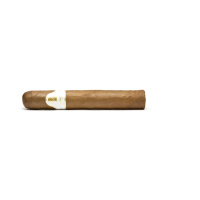 Davidoff Winston Churchill Robusto