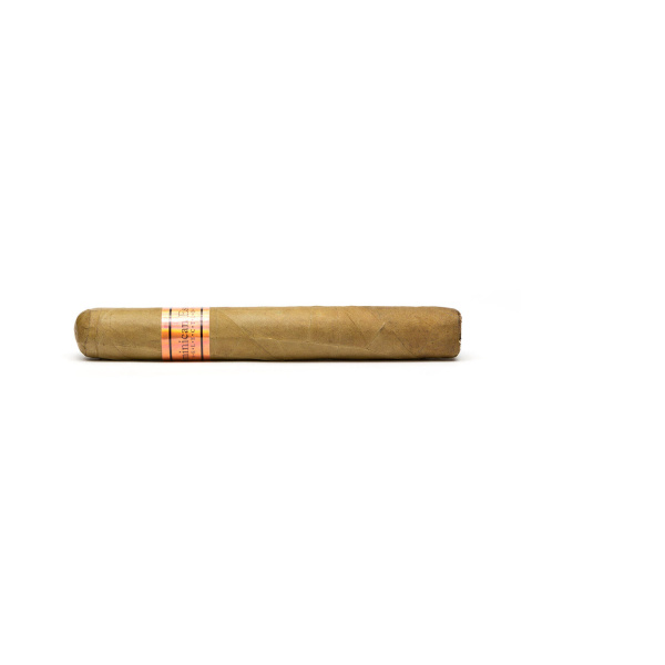 Dominican Estates Petit Corona