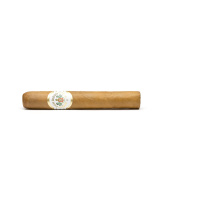 Don Diego Robusto