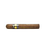 Dos Gonzalez Robusto