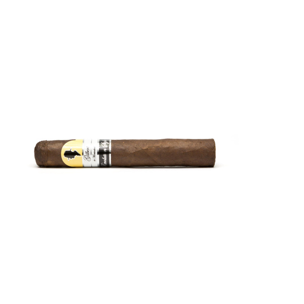 Gilbert Revolution Style Robusto