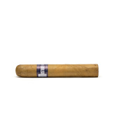 Mustique BLUE Robusto einzeln