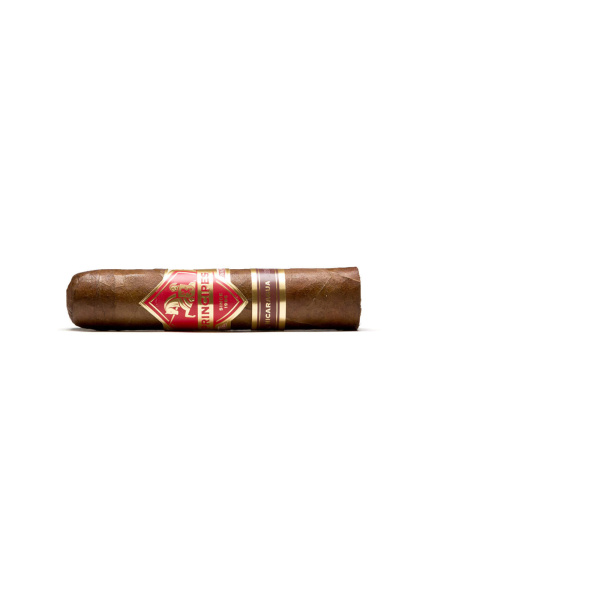 Principes Nicaragua Short Robusto einzeln