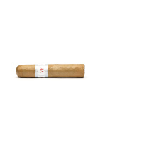 VegaFina Short Robusto