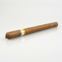 Cohiba Lanceros