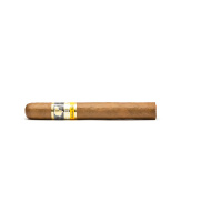 Cohiba Siglo II