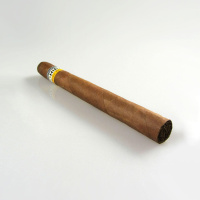 Cohiba Siglo V