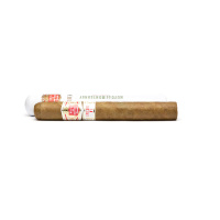 Hoyo de Monterrey Epicure No. 1 Tubo