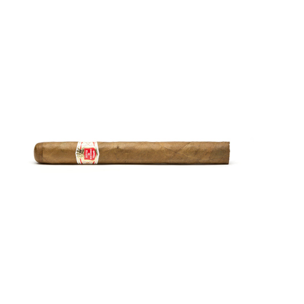 Hoyo de Monterrey Palmas Extras 25er Kiste