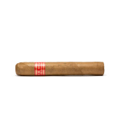 Partagas Serie E No. 2