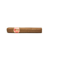 Saint Luis Rey Regios