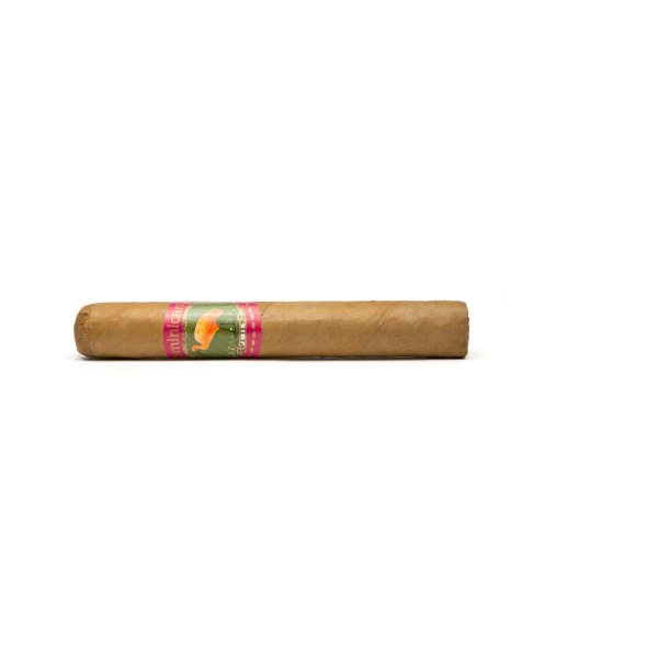 Schuster Ibis Bundle Dom Rep Robusto