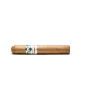 Bentley White Robusto