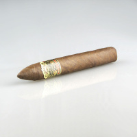 Ashton VSG Torpedo 24er Kiste