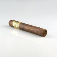 Ashton VSG Wizard 37er Kiste