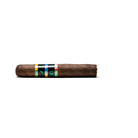 CAO BX3 Robusto