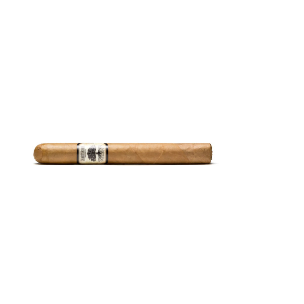 Charter Oak Petit Corona