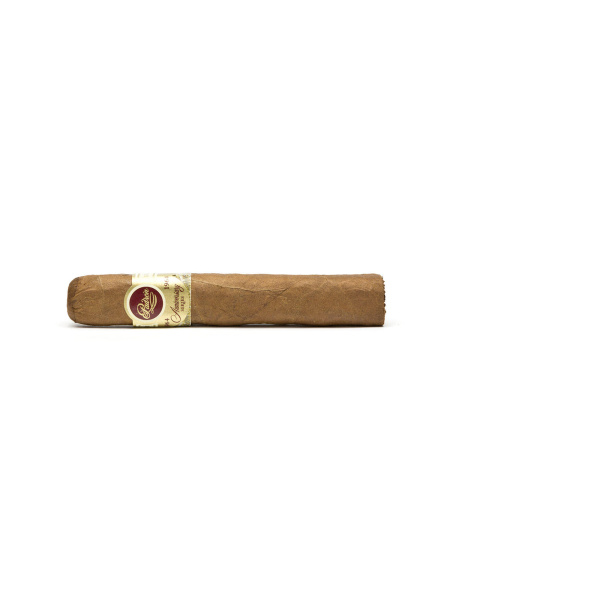 Padron 1964 Anniversary Principe Natural einzeln