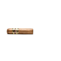 Quorum Shade Short Robusto