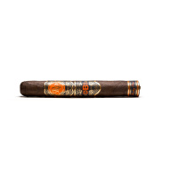 Rocky Patel DBS Robusto