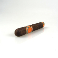 Rocky Patel Fifty Robusto einzeln