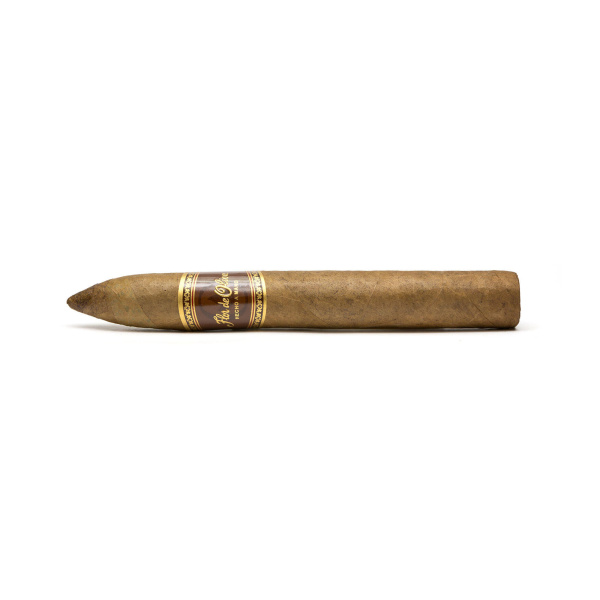 Flor de Oliva Torpedo