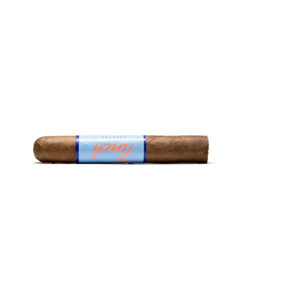 Blackbird Finch Robusto einzeln