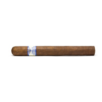 Casa de Nicaragua Churchill 10er Bundle