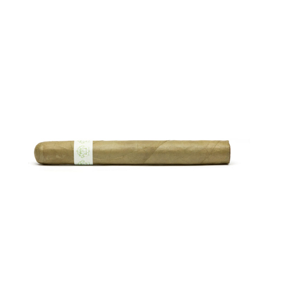 Blanco Classic Candela 25er Kiste