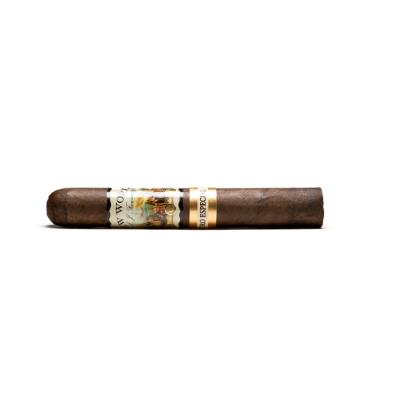 AJ Fernandez New World Puro Especial Robusto 20er Kiste