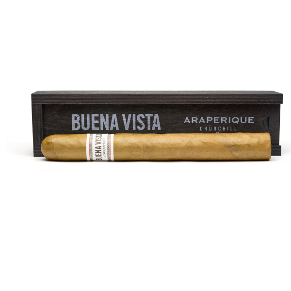 Buena Vista Churchill